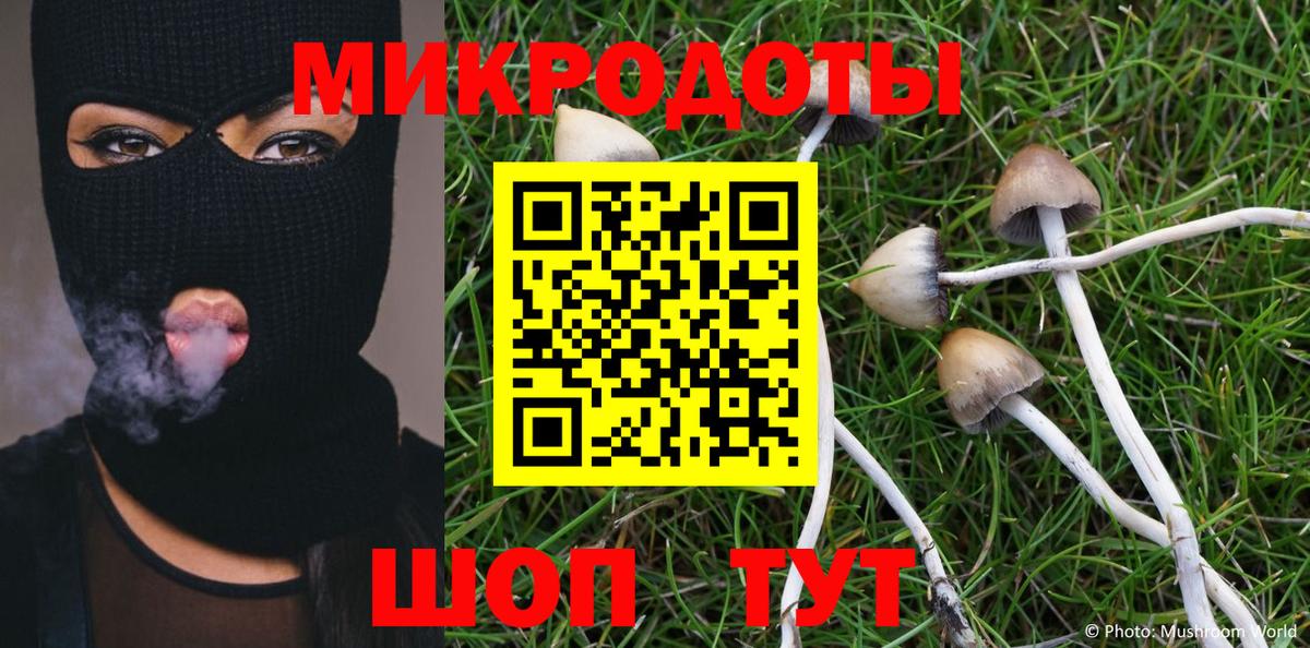 Псилоцибиновые грибы MAGIC MUSHROOMS  Вход с VPN  Россия  купить наркотики сайты  Галлюциногенные грибы Psilocybine cubensis 